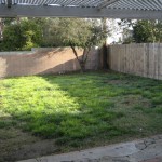 864 Sharon Dr - back yard